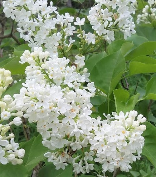 Trevlig sommar!