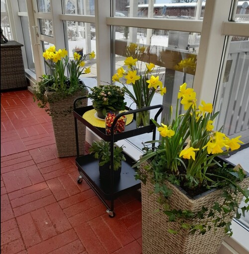 Stadgeenligt årsmöte, Skolhusgatan 34, måndagen 20 april kl. 15