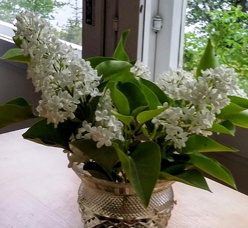 Trevligt sommar!
